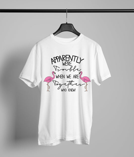 Trouble When We Are Together