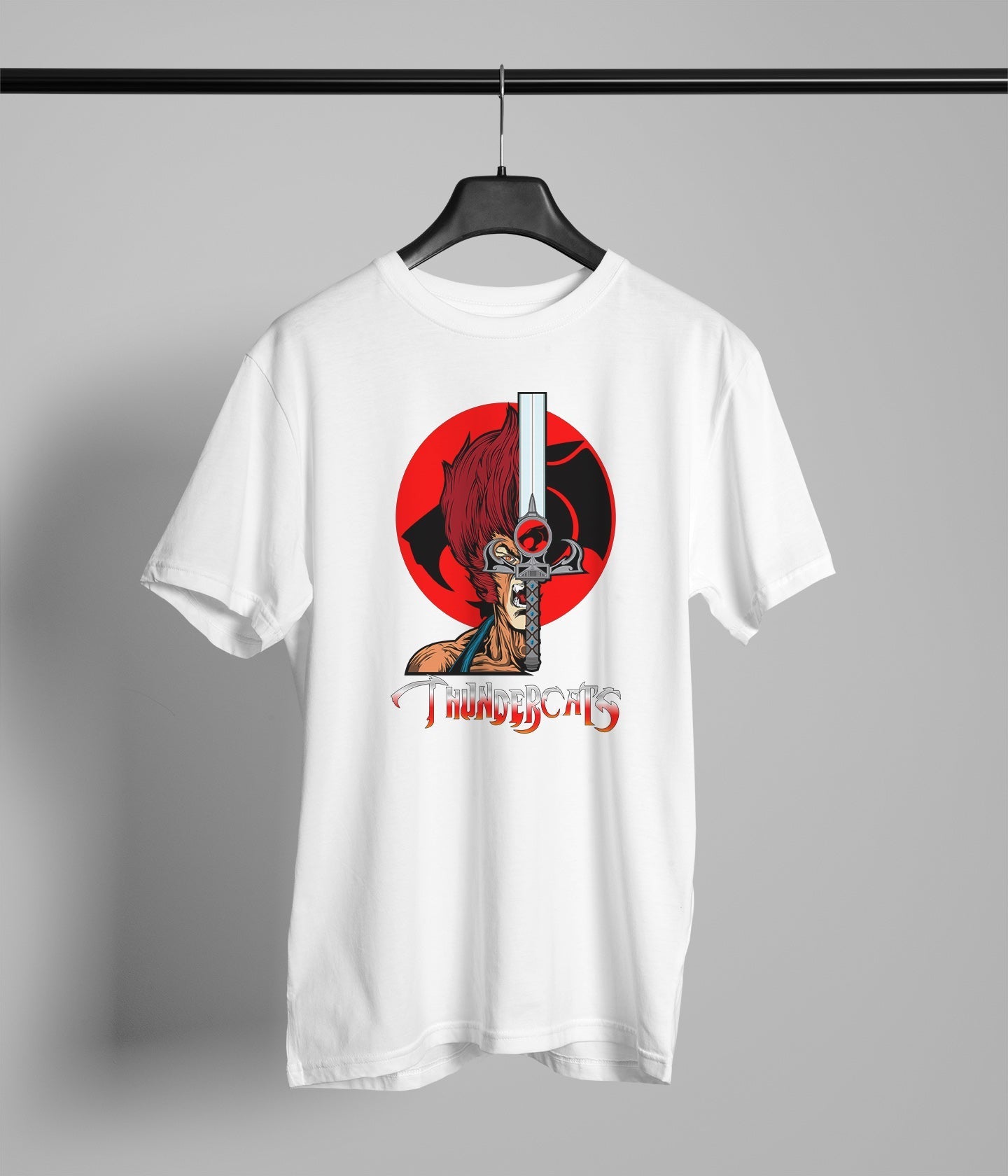 Thundercats With Sword