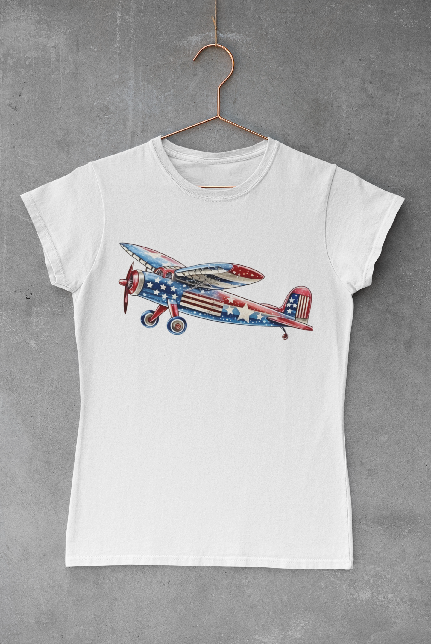 USA Plane Transfer
