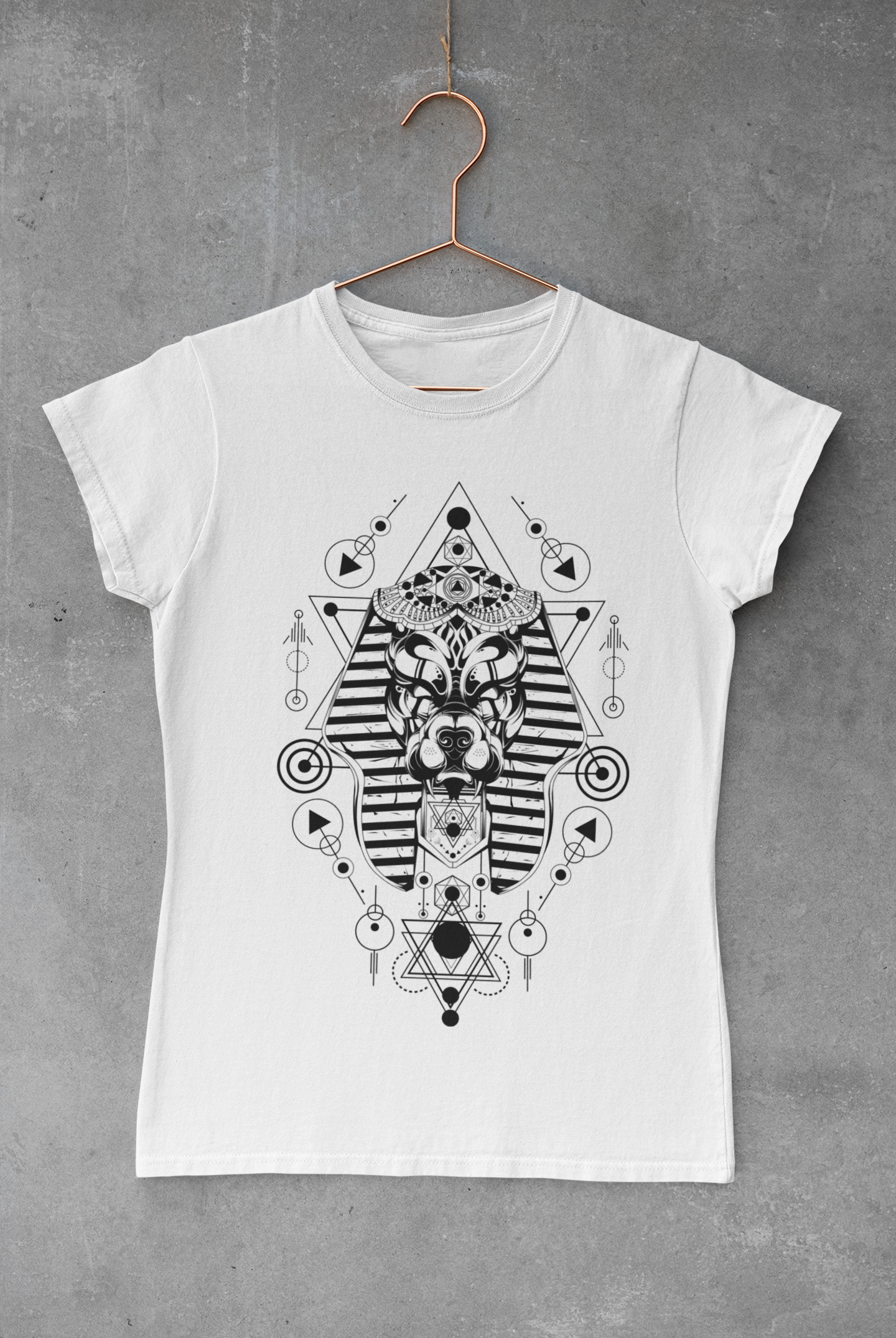 Anubis Geometry Transfer