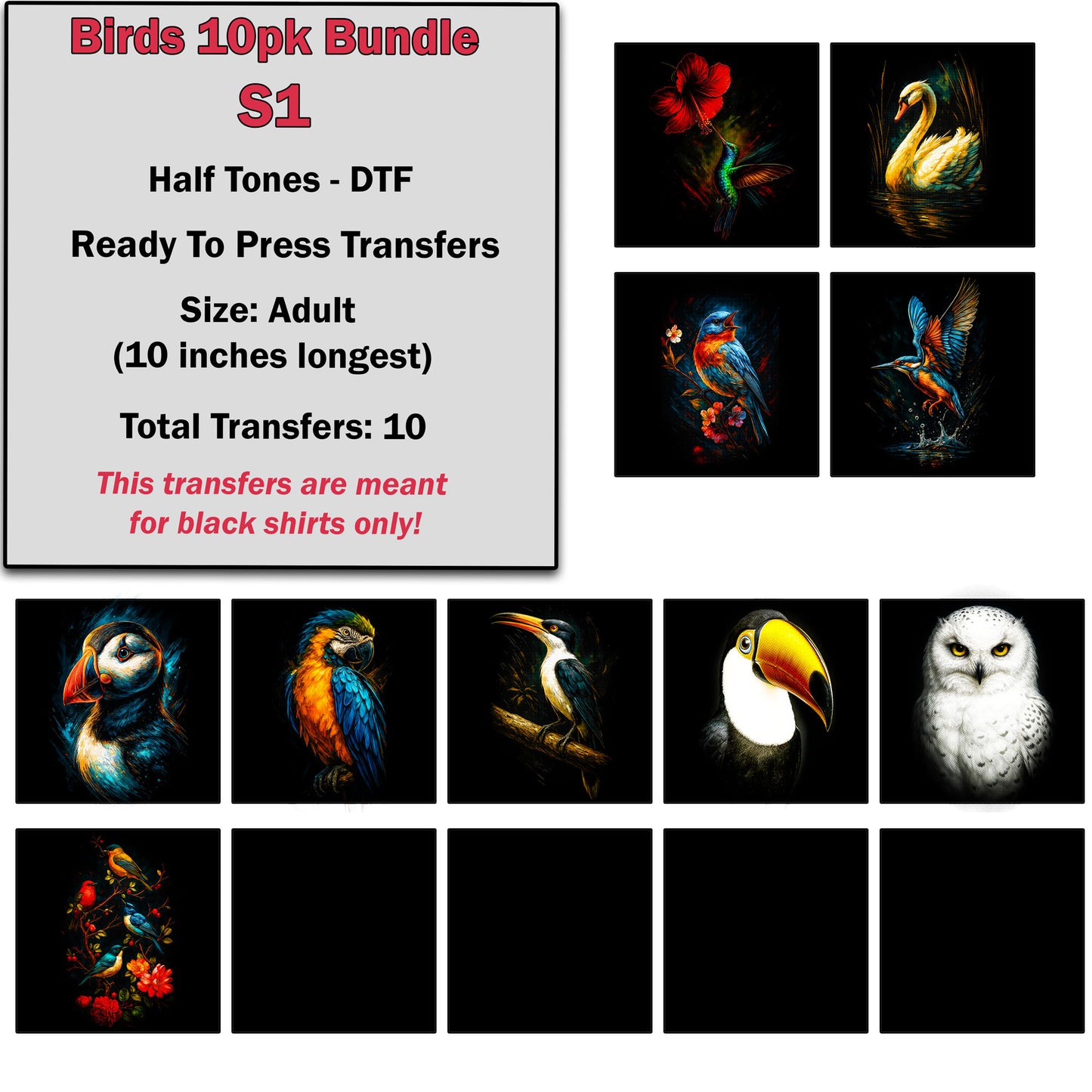 Exclusive Birds Bundle -10 Design Pack