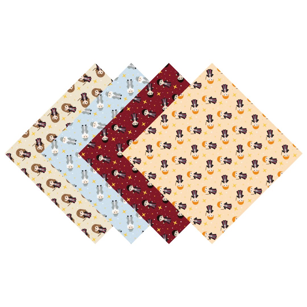 Harry Potter Main Characters Patterned Vinyl Pack