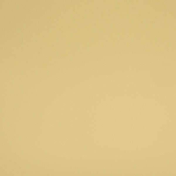 Matte Beige Tan 12x12 Heat Transfer Vinyl Sheet