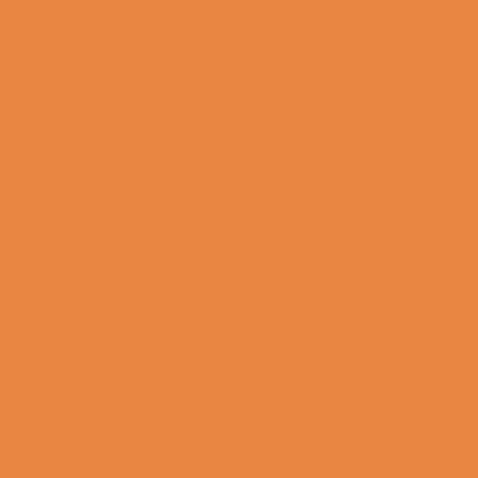 Matte 12x12 HTV Sheet