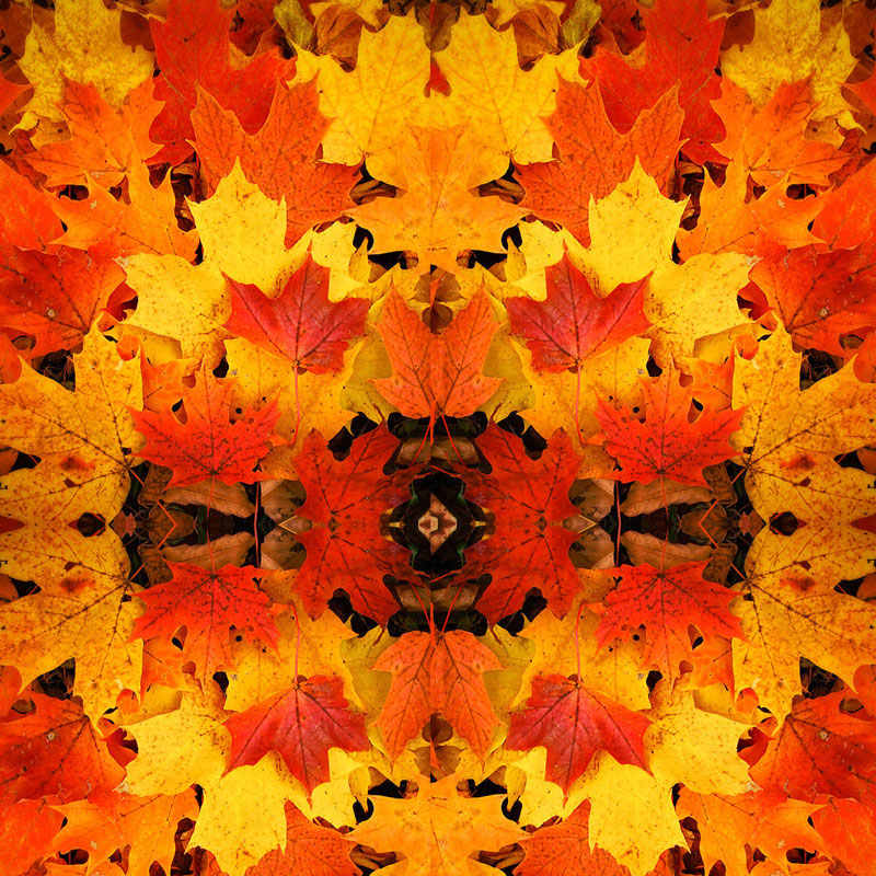Fall Leaves 12x12 Patterned Vinyl Sheet