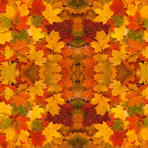 Fall Leaves v.2 12x12 Patterned Vinyl Sheet