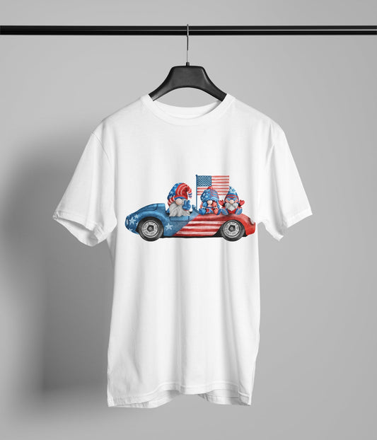 Patriotic Car With Gnomes