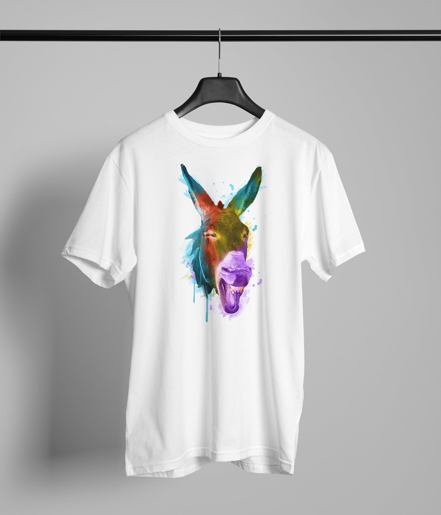 Painted Donkey