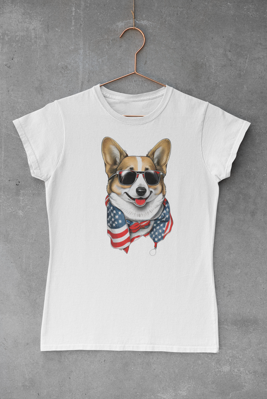 Corgi USA Transfer