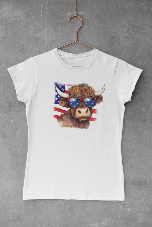USA Bison V3 Transfer