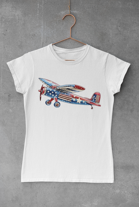 USA Plane Transfer