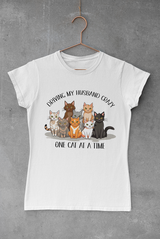 One Cat at a Time Transfer