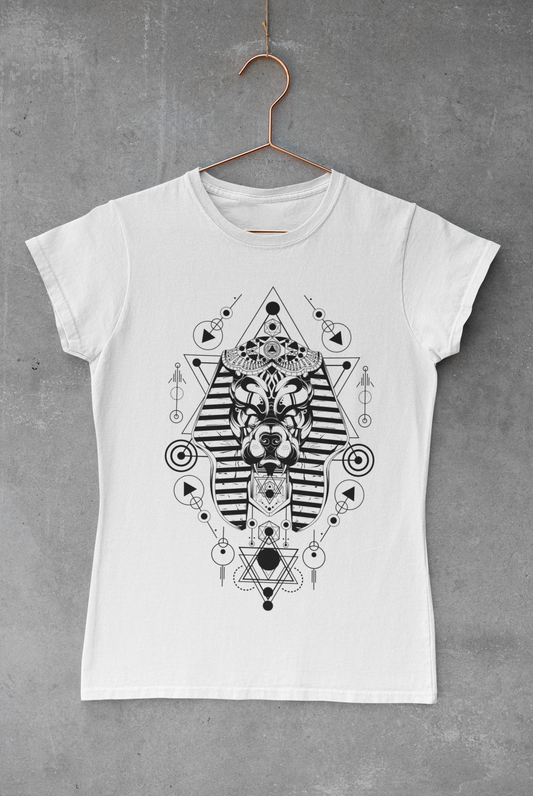 Anubis Geometry Transfer