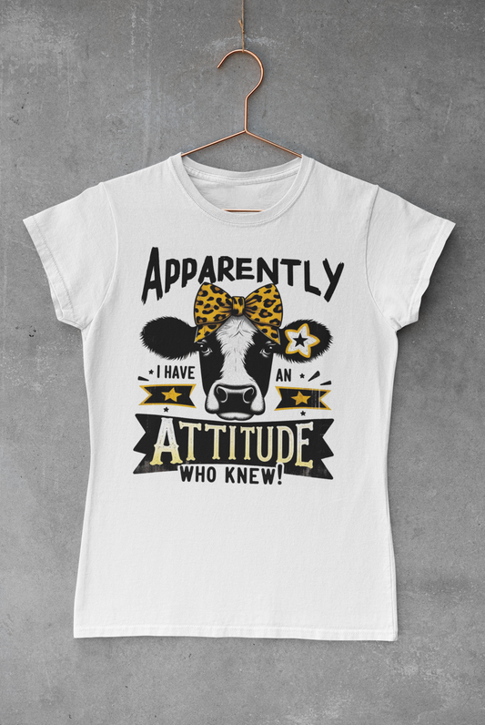 Attitude Transfer