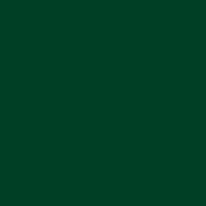 Oracal651 Dark Green 12x12 Adhesive Vinyl