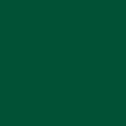 Oracal651 Forest Green 12x12 Adhesive Vinyl