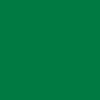 Oracal651 Grass Green 12x12 Adhesive Vinyl