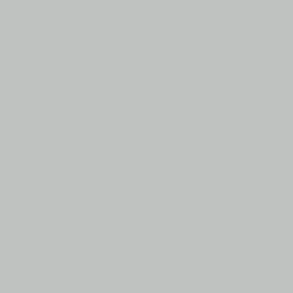 Oracal651 Light Grey 12x12 Adhesive Vinyl