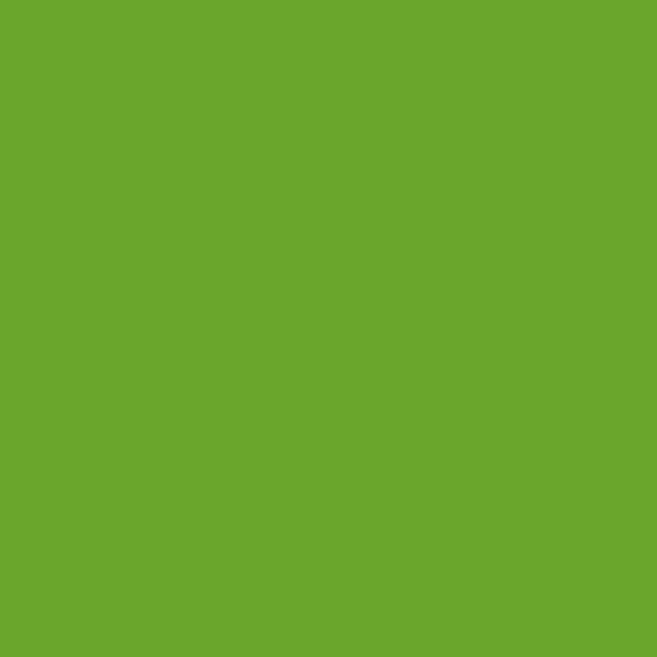 Oracal651 Lime tree Green 12x12 Adhesive Vinyl