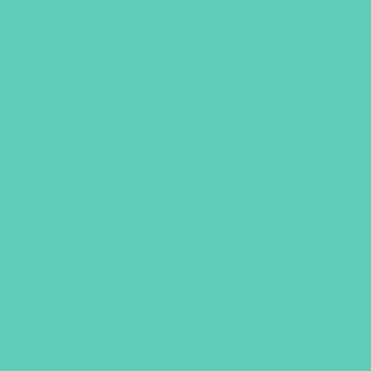 Oracal651 Mint 12x12 Adhesive Vinyl