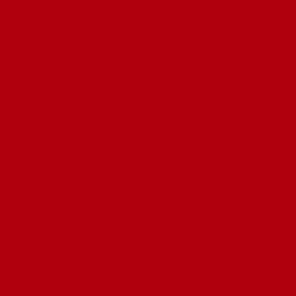 Oracal651 Red 12x12 Adhesive Vinyl