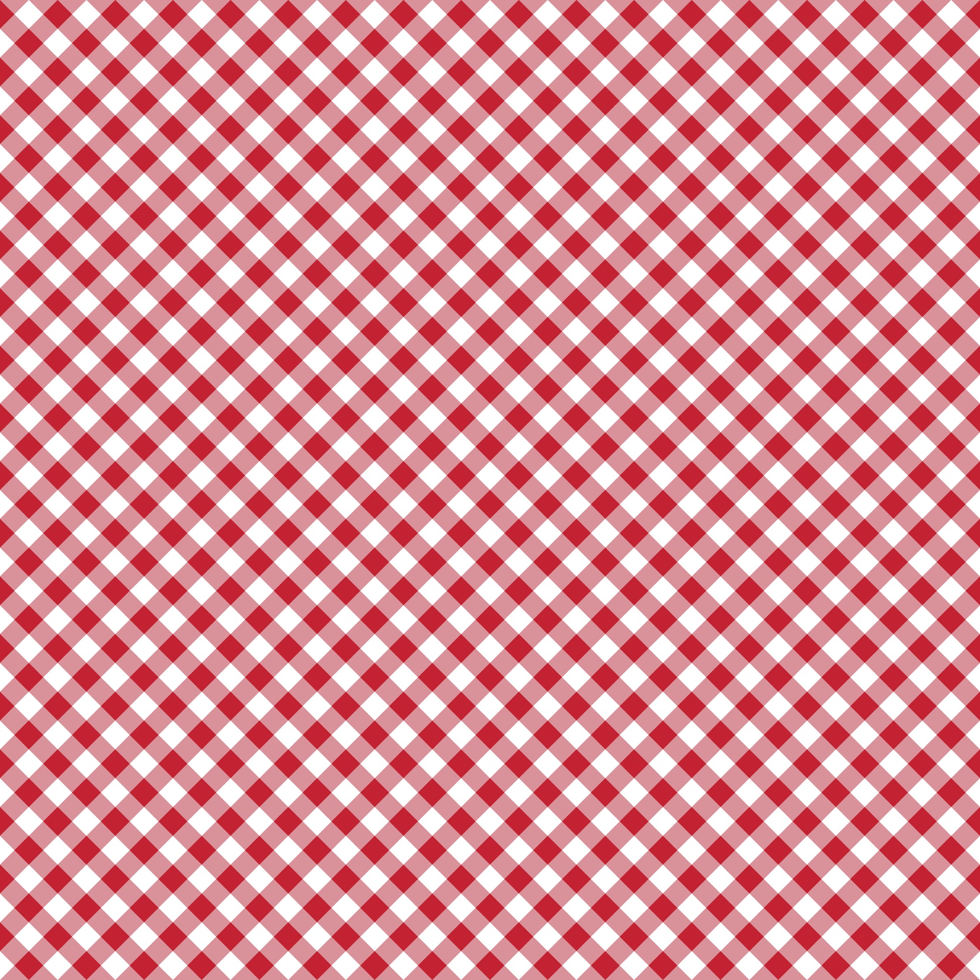 Picnic Blanket 12x12 Patterned Vinyl Sheet