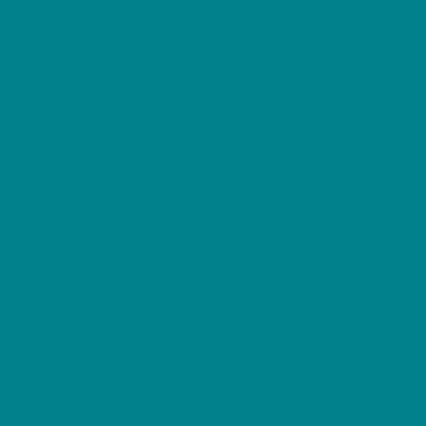 Oracal651 Turquoise Blue 12x12 Adhesive Vinyl