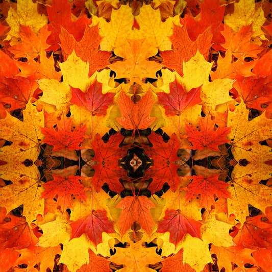 Fall Leaves 12x12 Patterned Vinyl Sheet