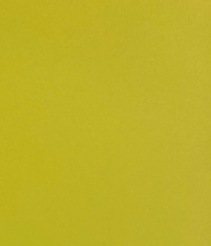 Matte Lime 12x12 HTV Sheet