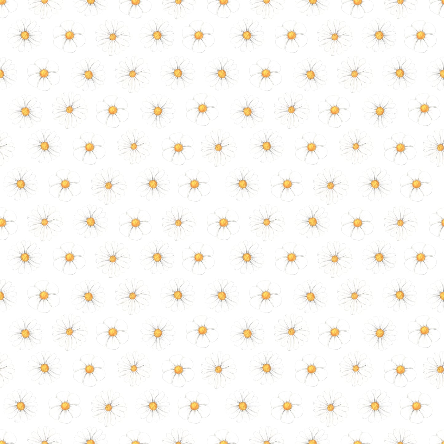 White Daisies 12x12 Patterned Vinyl Sheet