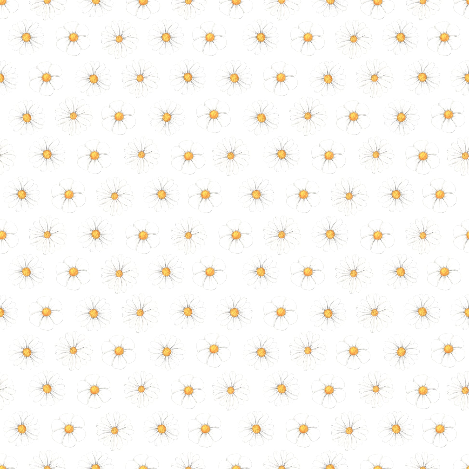 White Daisies 12x12 Patterned Vinyl Sheet